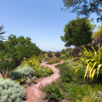 Los Altos, Ca | Divine Nature Landscape Design | Slice of Heaven