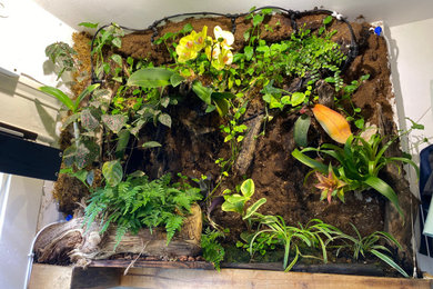 Transforming Spaces