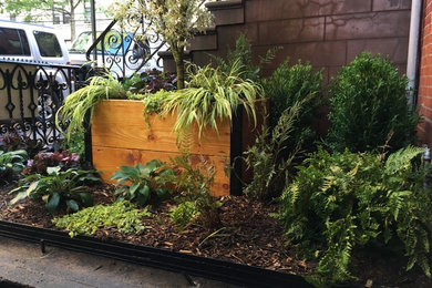 This is an example of a traditional landscaping in New York.