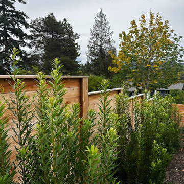 Silver Beach- Mitigation Project