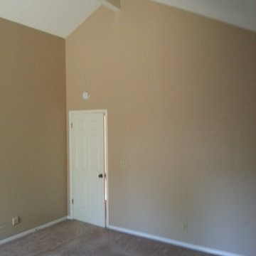Interior Paints