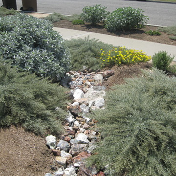 Sustainable Fullerton Garden Makeover