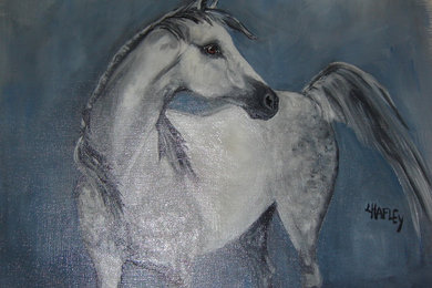 stallion on oil paper 16 x 20