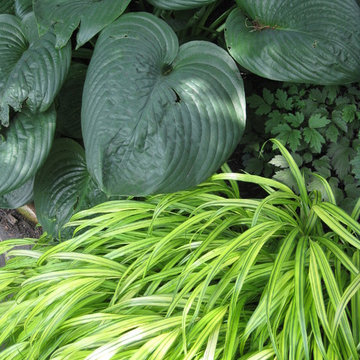 Gardens and Planting Design