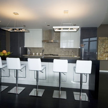 South Waterfront Penthouse