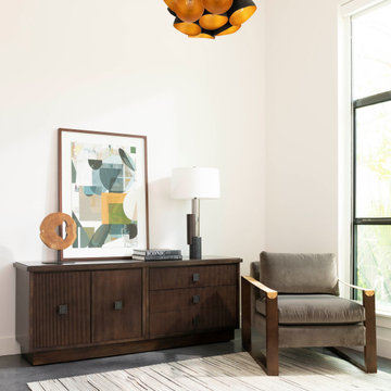 Preston Hollow Modern Minimalist Furnishing