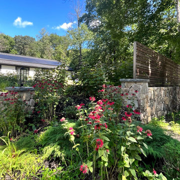 Softening Homes in Weston