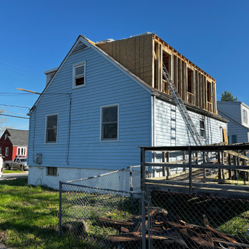 Pin Oak - project