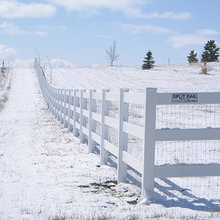 Front Fence