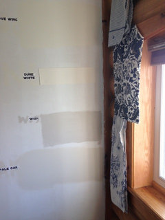 WISH Paint Color
