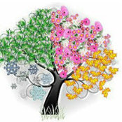 A&R Landscaping's photo