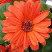 Melissa Pompa Tice's photo