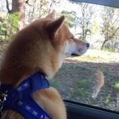 Larry Lo's photo