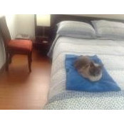 Mili Angulo's photo
