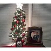 Kim McCloud's photo