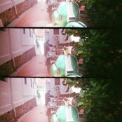 Sarah Lam's photo