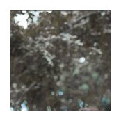 Photo de Mandeville Canyon Homeownder