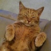 Lisa Borden's photo