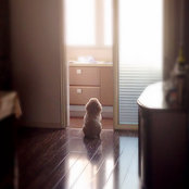 Dawn Guan's photo