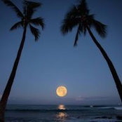 Brian Watkins's photo