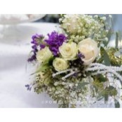 Regina Peek's photo