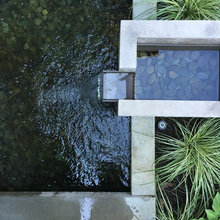 Water Feature