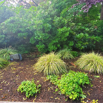 NEW LANDSCAPE DESIGN