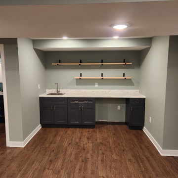 Jordan & Beth, NE Grand Rapids, Master Bathroom & Basement Remodel