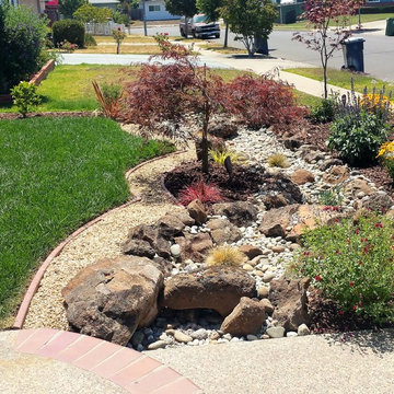 Low Water Gardens