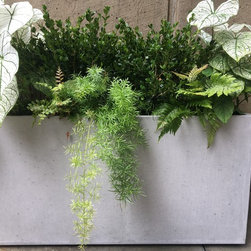 Concrete planters - NYC. - Products