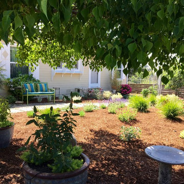 Small Changes, Big impact in Cupertino