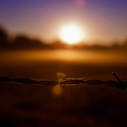 Fine Art Decor_Landscape - Artwork
