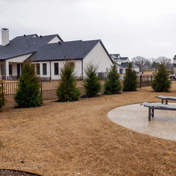 Privacy Screens