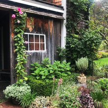 Tiny yard