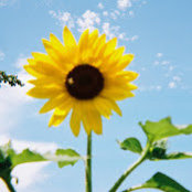Robin Garvisch's photo