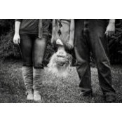 Lori Rose's photo