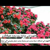 Foto von Ebtsam Sabry