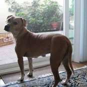 Heather Jennings's photo