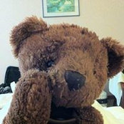 Teddy Leis billede
