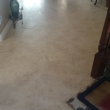 20" Rectified Edge First Quality Porcelain, Seville Tile w/ 5-1/4" Victorian Bas
