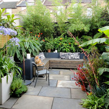 Going Green: How to Decorate Your Bare Courtyard From Scratch