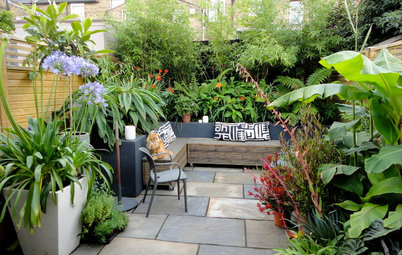 Small Courtyards For Year-round Enjoyment
