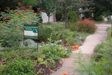 オースティンにある高級な小さな、夏のエクレクティックスタイルのおしゃれな前庭 (ゼリスケープ、日向、マルチング舗装) の写真
