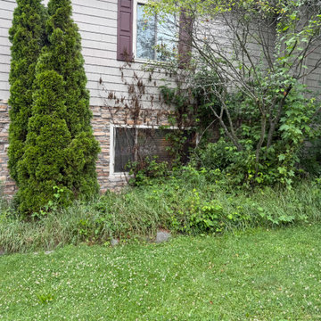 Gallery photos