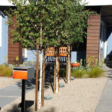 Contemporary Bungalow Front Yard