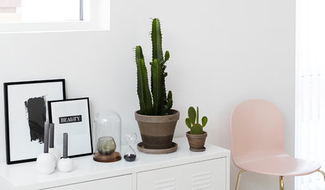 Up to 55% Off Stylish Accessories