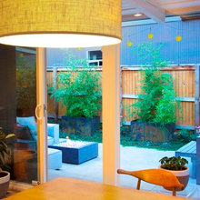 Xeriscape