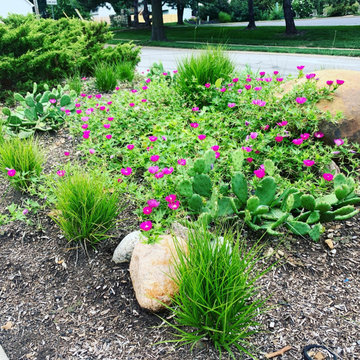 Native Plant Landscaping, Hardscaping, and Bioswales