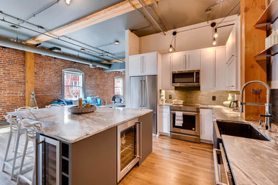 Kitchen - modern kitchen idea in Denver