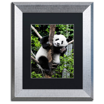 Philippe Hugonnard 'Giant Panda II' Art, Silver Frame, Black Matte, 14"x11"